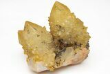 Sunshine Cactus Quartz Crystal Cluster - South Africa #212661-1